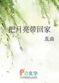 把月亮带回家月饼多少钱
