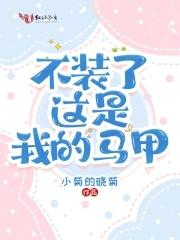 这马甲我不披了谁攻