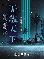 汉未召唤之争霸天下下