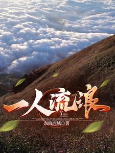 一人独自流浪在外