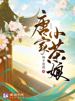 唐家小仙妹阅读