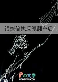 错撩偏执男主后我甩不掉了晋江