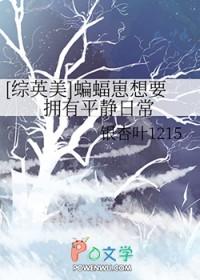 综英美小蝙蝠崽
