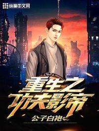 重生之功夫天王 重生之功夫天王